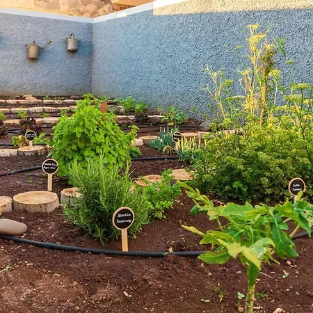 Sea - Rural Experience By Seapearl * Paul do Mar (Madeira)